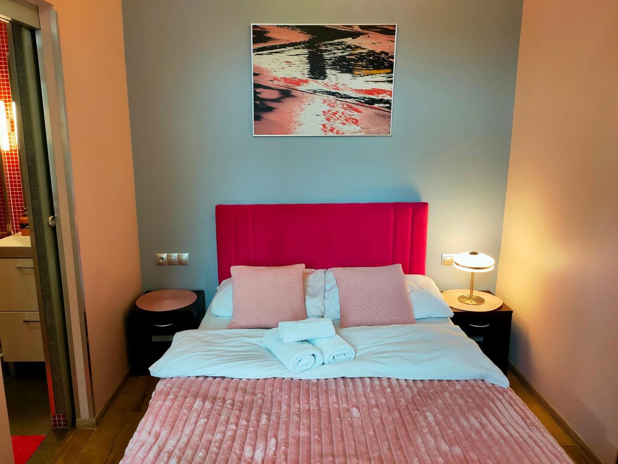Mirror Pink Studio Apartment 克拉科夫 外观 照片