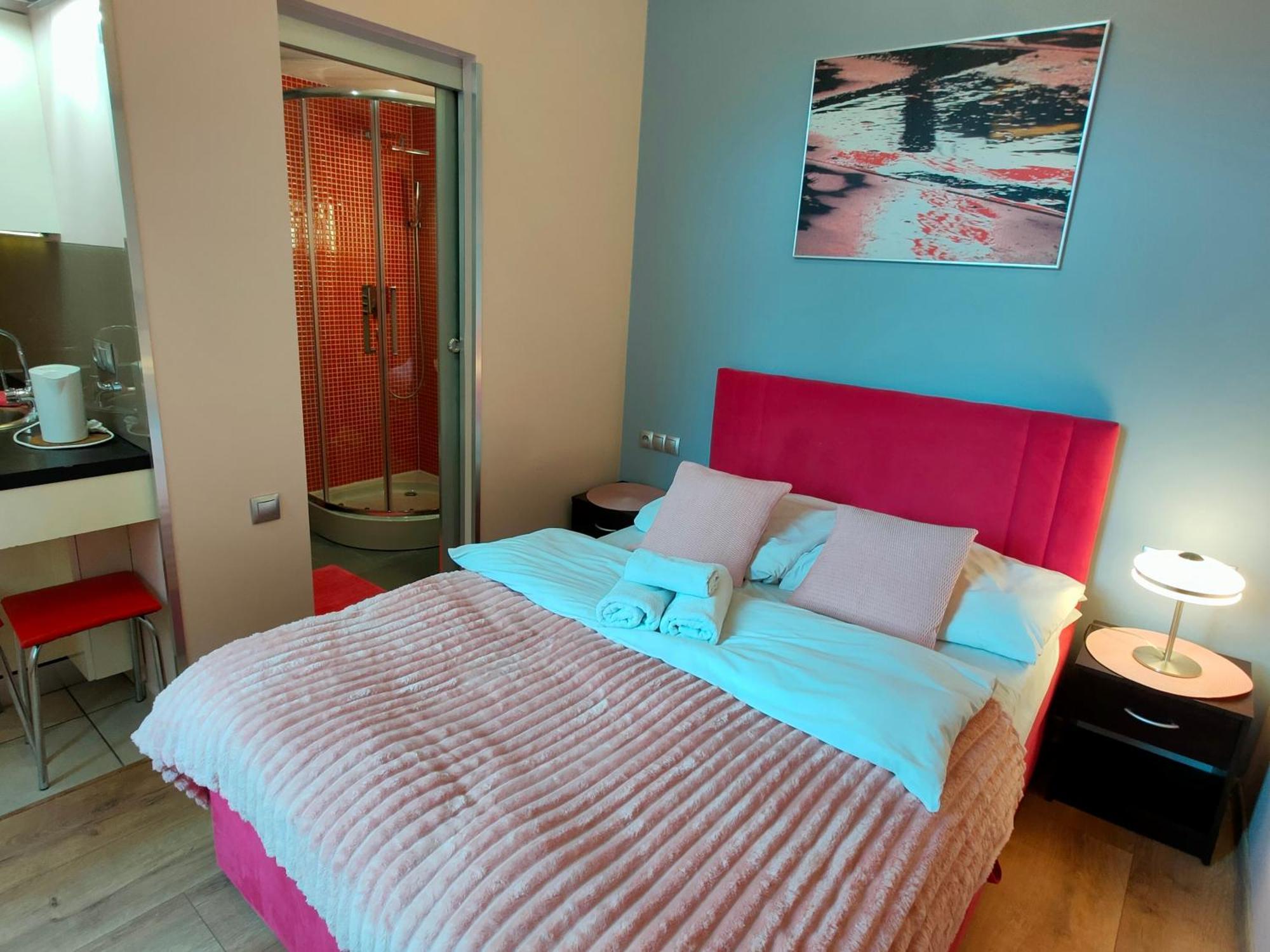 Mirror Pink Studio Apartment 克拉科夫 外观 照片